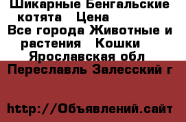 Шикарные Бенгальские котята › Цена ­ 25 000 - Все города Животные и растения » Кошки   . Ярославская обл.,Переславль-Залесский г.